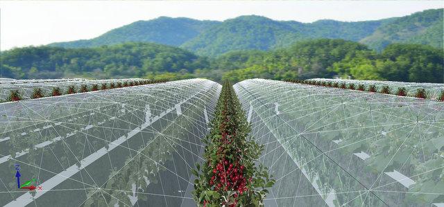 4608平方米避雨型低成本雾培蔬菜工厂设计